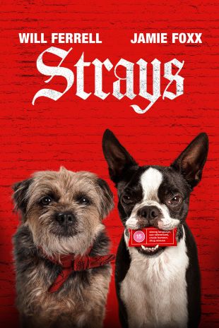 Strays