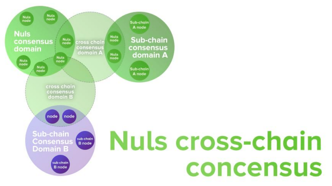 عملة NULS : ما هي وما هو مشروعها بلغة بسيطة؟ 4 تقاطع الشبكات في NULS