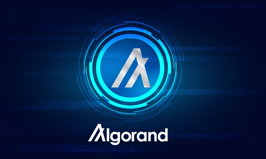 أفضل 10 عملات رقمية سعرها أقل من 1 دولار: قائمة حديثة 17 Algorand