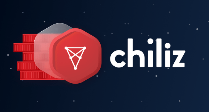 أفضل 10 عملات رقمية سعرها أقل من 1 دولار: قائمة حديثة 19 Chiliz