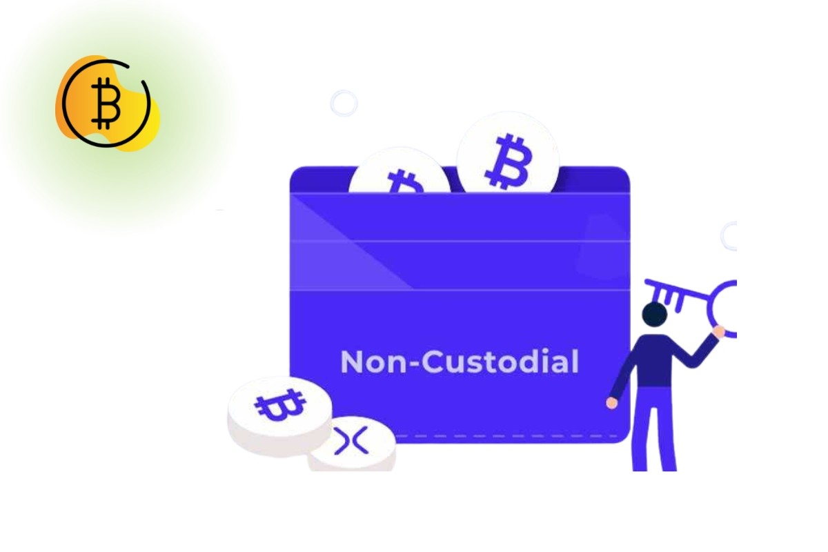 ماذا يعني Non-Custodial Wallets في العملات الرقمية؟