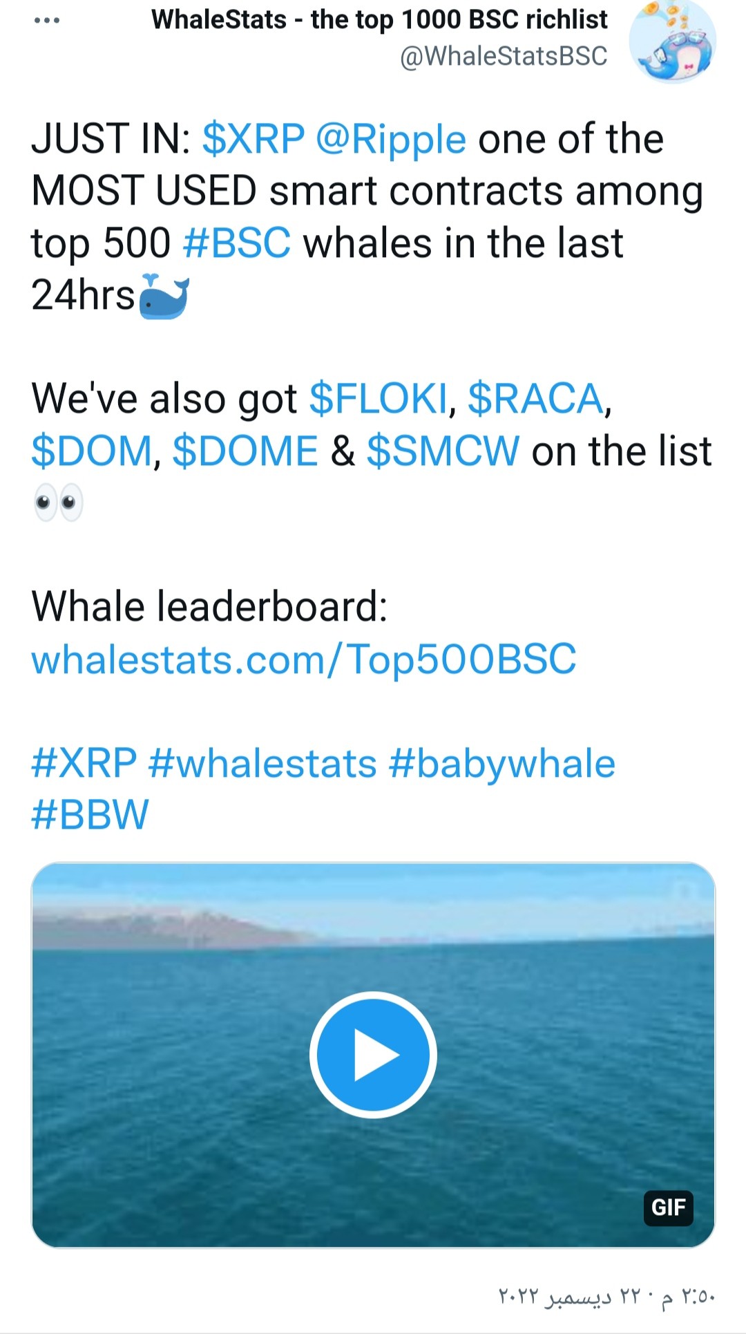 الحيتان تنقل كميات ضخمة من عملة XRP إلى منصة Bitstamp 3 IMG ٢٠٢٢١٢٢٢ ١٩٤٧٠٥