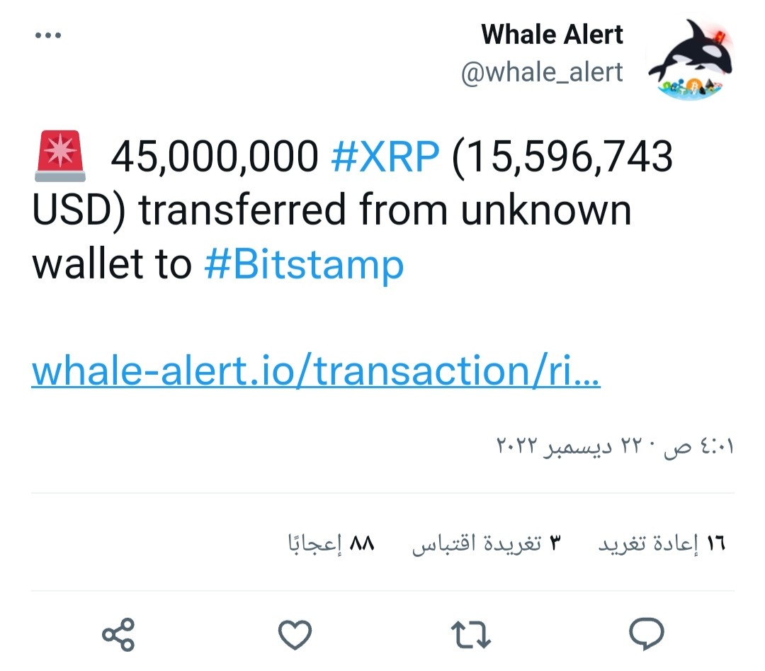 الحيتان تنقل كميات ضخمة من عملة XRP إلى منصة Bitstamp 4 IMG ٢٠٢٢١٢٢٢ ١٩٥٩٣٨