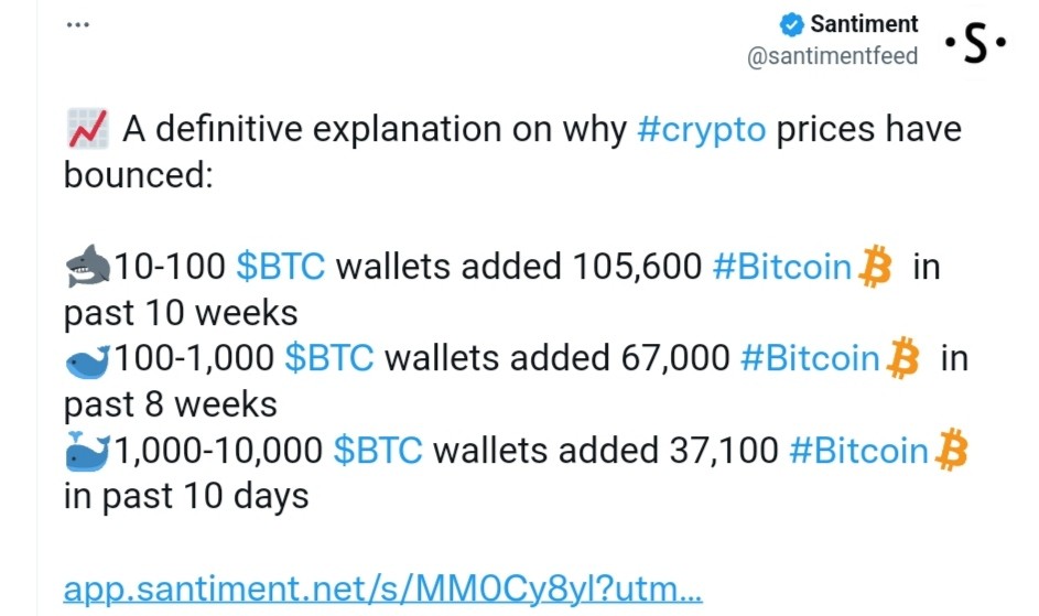 حيتان البيتكوين تصحح مسارها وتسهم في ارتفاع سعرها 5 تغريدة شركة Santiment حول مجموعات البيتكوين المؤثرة