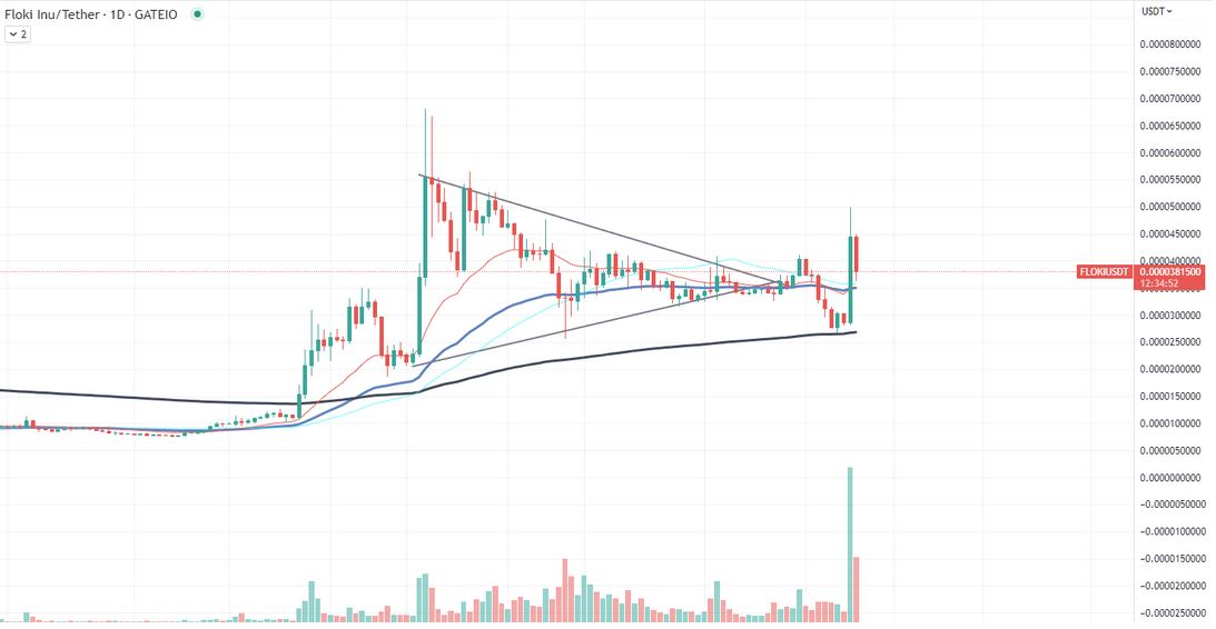 هل بدأ حاملي عملة FLOKI الرقمية بالبيع؟ 4 Source: TradingView