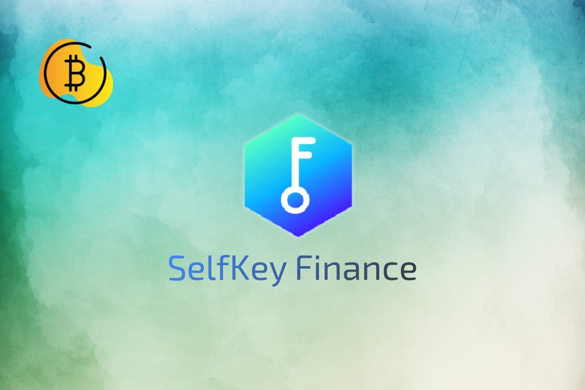 أقوى العملات الرقمية الصينية لعام 2023 20 صورة عملة KEY الرقمية