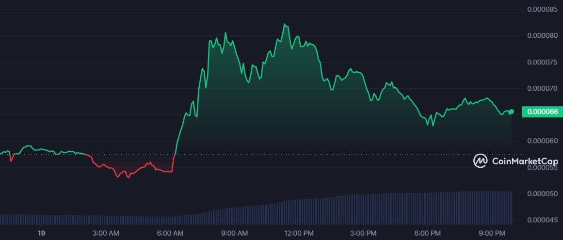 إيلون ماسك يتسبب بانفجار سعر عملة BOB الميمية 4 سعر عملة عملة BOB الميمية