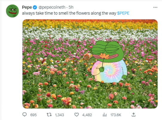 عملة PEPE الميمية تعاود الارتفاع بأكثر من 25% 6 صورة تغريدة PEPE عن الربيع