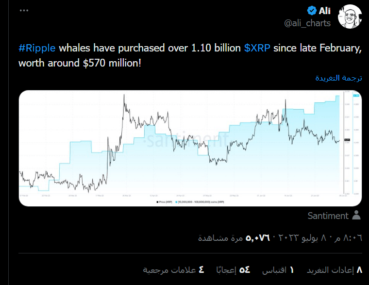 الحيتان تلتهم عملة XRP بكميات صخمة 3 بيانات منصة تحليل البيانات Santiment