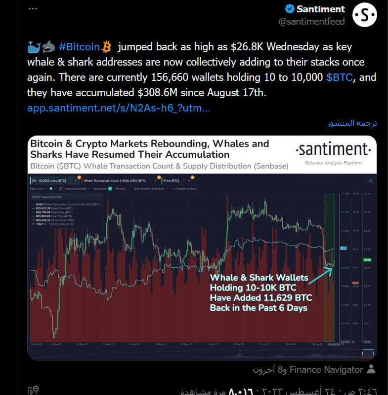  منصة تحليل البيانات Santiment