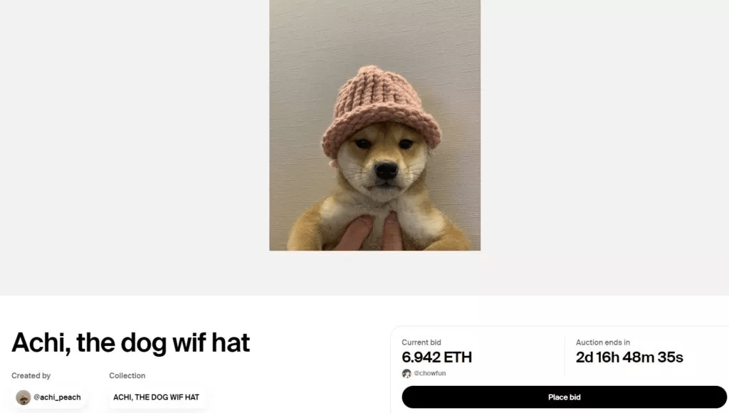 عرض شعار عملة dogwifhat بالمزاد على شكل NFT 3 image 48
