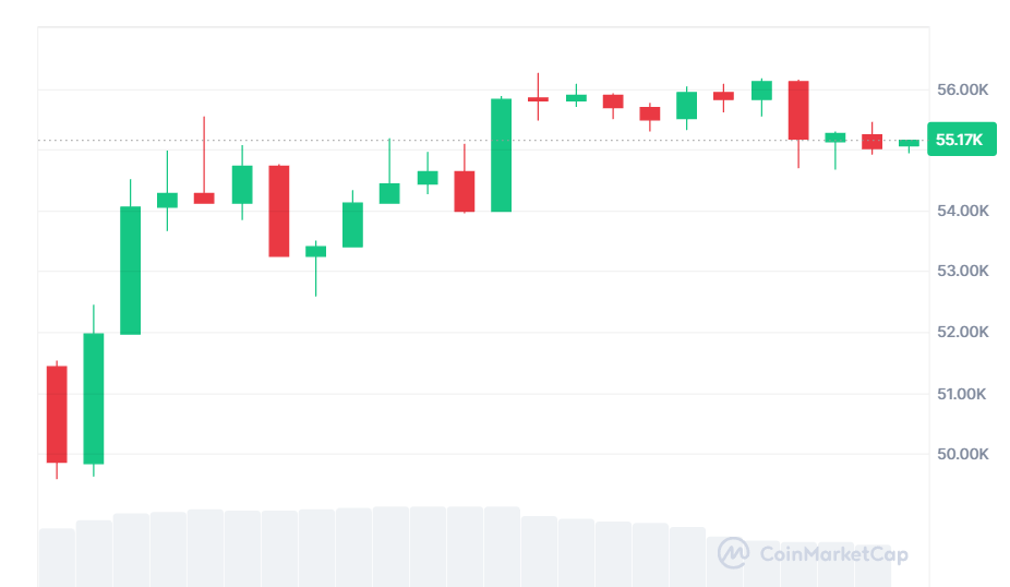 تحول مدهش في سعر البيتكوين يترك الجميع في حالة من الدهشة 3 image 22